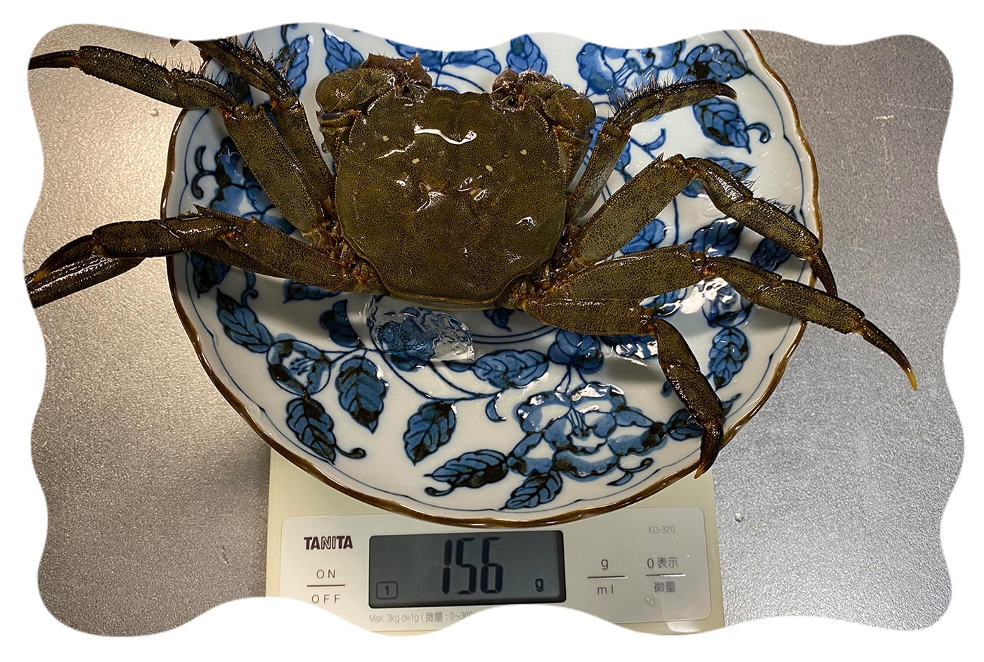 カニモクズガニ 🧊急速冷凍モクズガニ🦀大サイズ8kg(目安36-60杯) 2kg入り×4箱