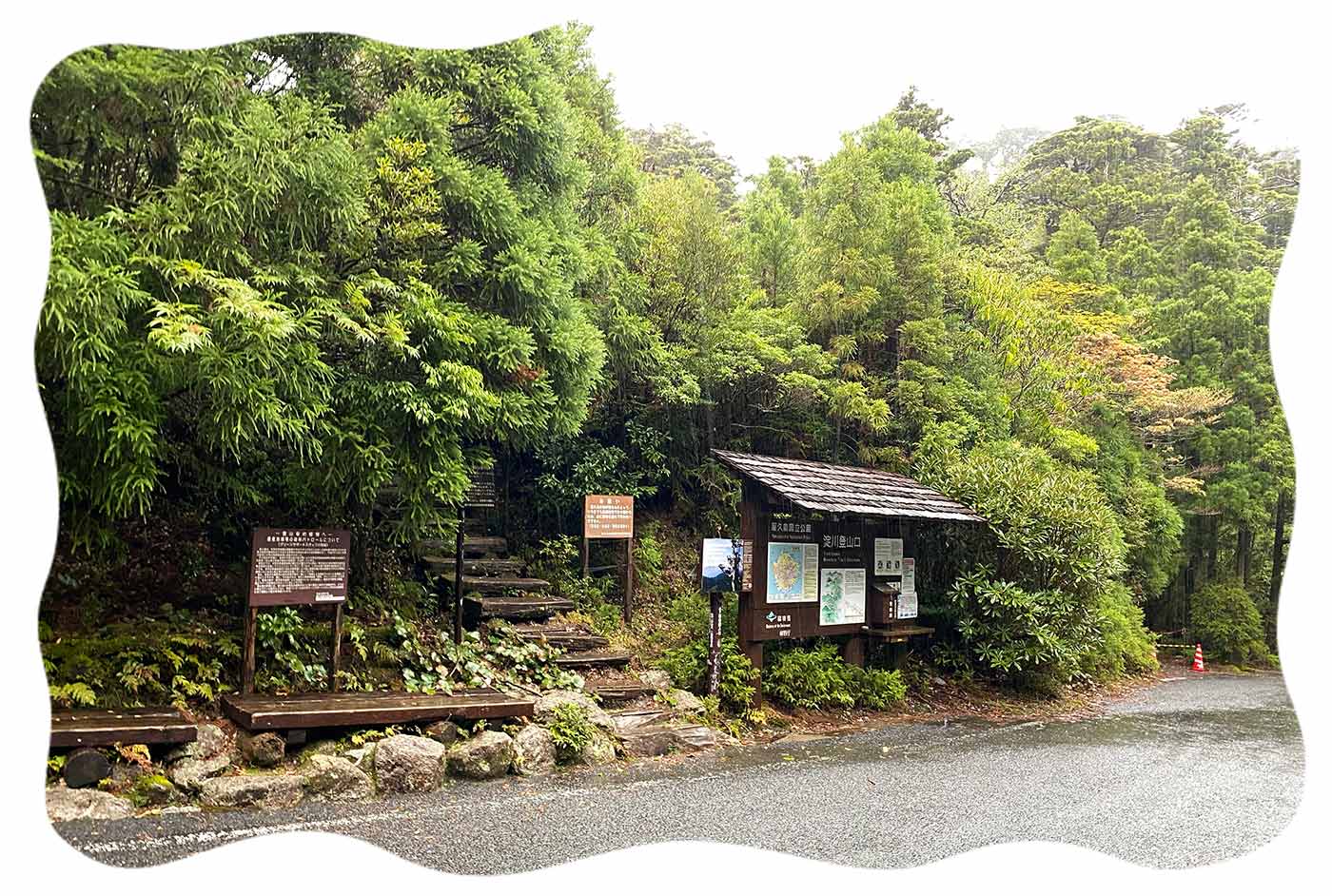 だれる 知らない 屋久島 屋久島】太忠岳登山～ヤクスギランド 山頂の神秘の巨大岩・天