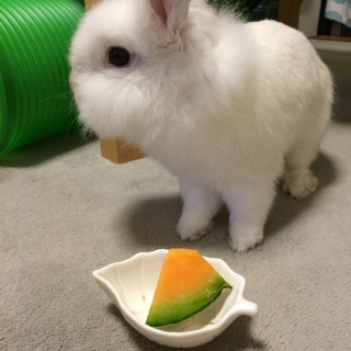 iPhoneImage.png