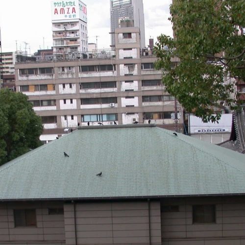 うっとうしいやっちゃ