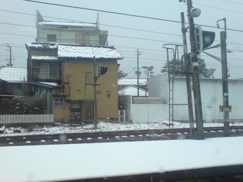 雪景色になった