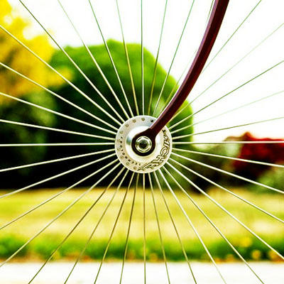 d117f2514623a68ad2d3a837aad08906e3b3d636_m.jpg