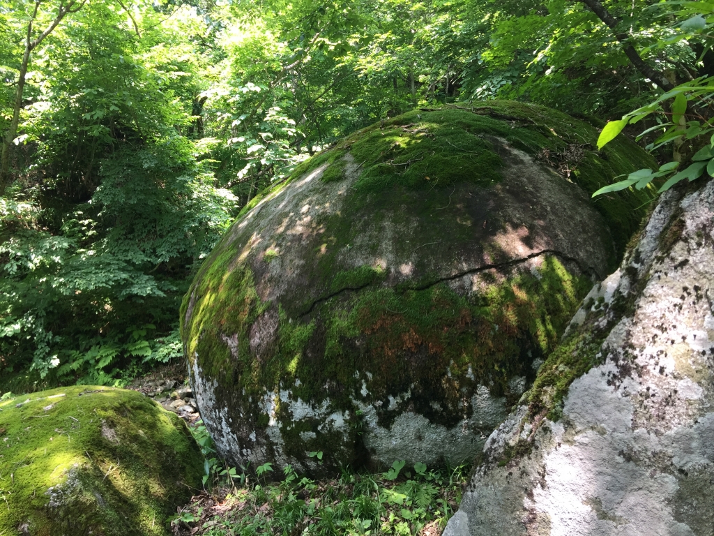 高知・足摺で大地のパワーを感じよう！ ミステリーストーンが並ぶ「唐人駄場」とハート型海蝕洞「白山洞門」 – 電話占いシエロ | 幸運の亀石 | 彫刻・オブジェ | Lzwlze