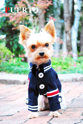 犬服最高級、カシミア50％の生地で作った復刻Pコート発売！ | 【公式 