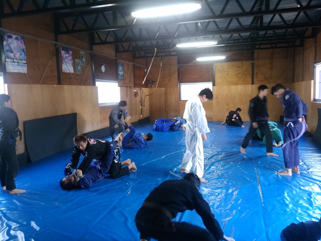IMG_20200126_112604.jpg