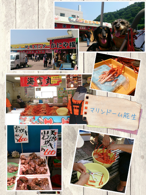 picute20130813160819.png