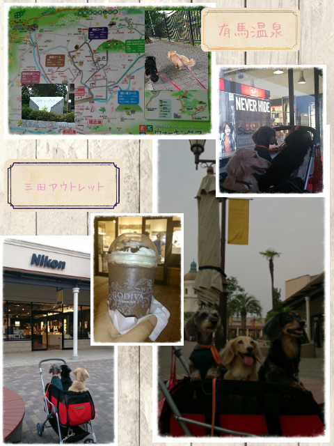 picute20130809060440.png