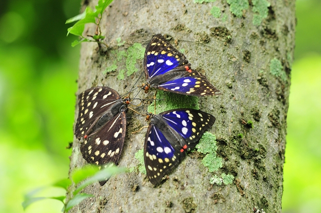 DSC_1272.jpg