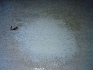 100810_1223_03.jpg