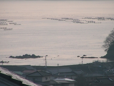 津波1