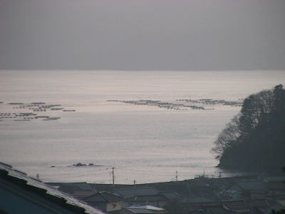 津波2