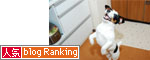 ブログランキング