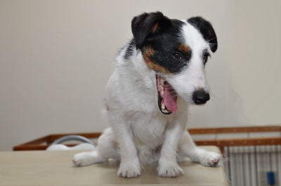 DSC_4565 のコピー.jpg