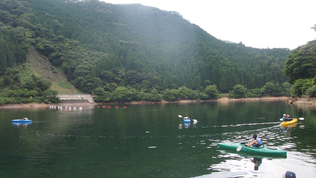 P8144447.jpg