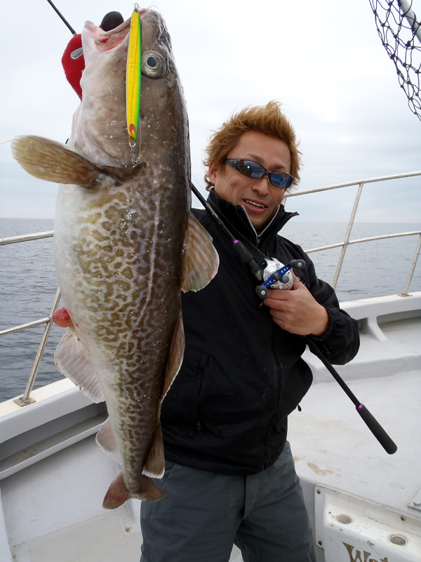 好調 仙台湾真鱈ジギング Sendai Fishing Report
