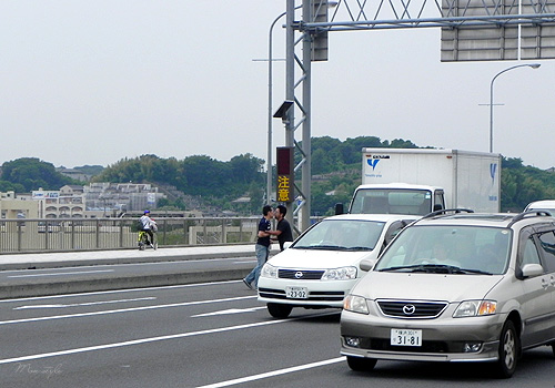 20110626_2.jpg