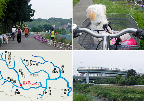 20110626_3.jpg
