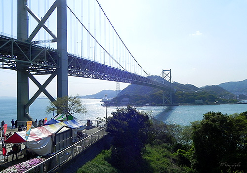 20110626_6.jpg