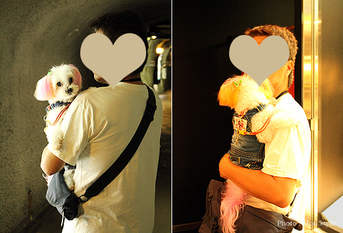 20110731_14.jpg