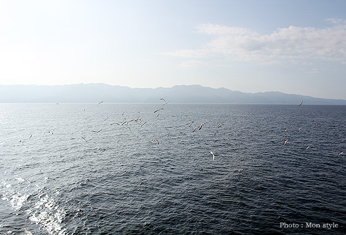 20110731_19.jpg