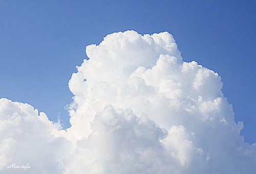 20110815.jpg