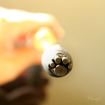 20110817_4.jpg