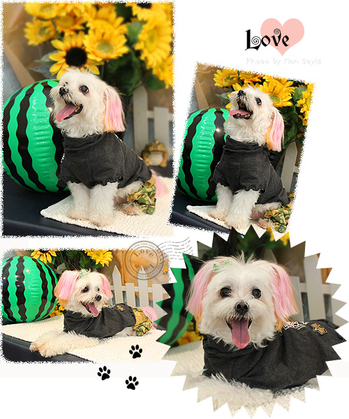 20110905.jpg