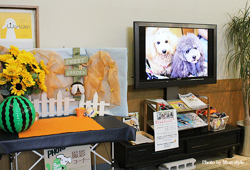 20110905_5.jpg