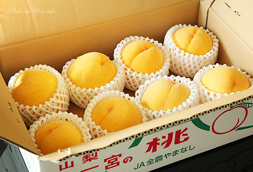 20110913_4.jpg