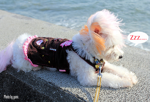 20110927_9.jpg