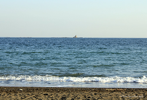 20111029_11.jpg