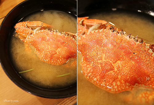 20111113_9.jpg