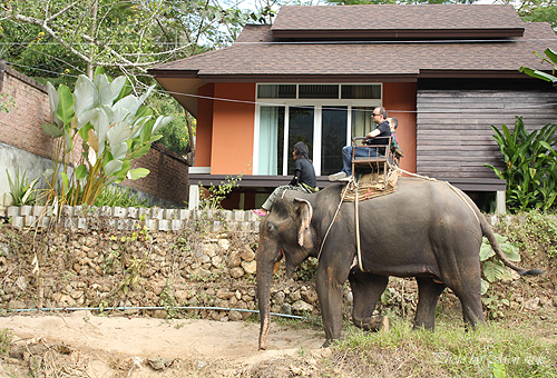 thai_15.jpg
