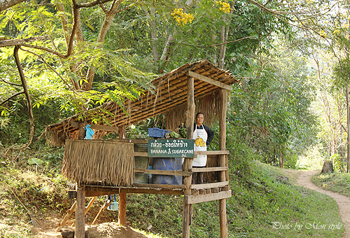 thai_17.jpg
