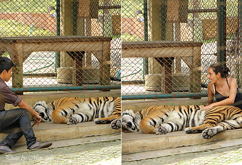 thai_23.jpg
