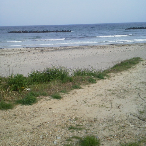 2012041915150000.jpg