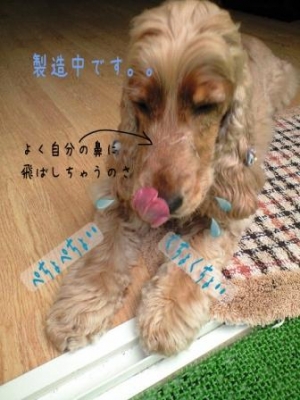 よだれ〜