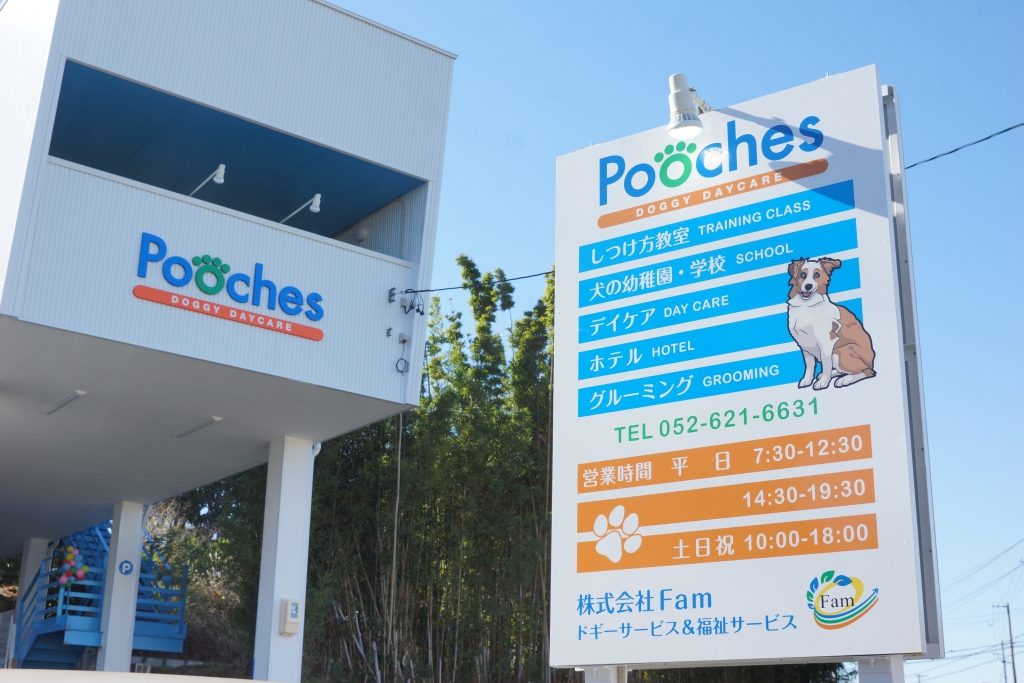 Pooches BLOGΤĤ̾Ųԡж衡ɥǥ סǿϤޤĤǥۥƥ롡ձ