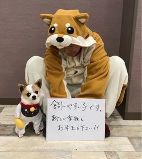 iPhoneImage.png