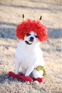 iPhoneImage.png