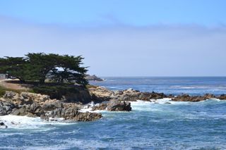 DSC_0031.jpg