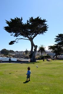 DSC_0023.jpg