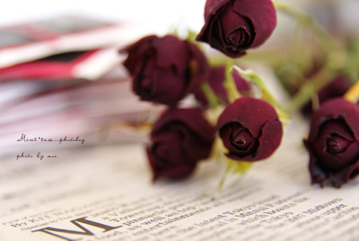 横ばーバージョン未採用。 rose