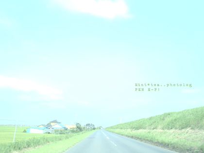 いなかうぇい sky