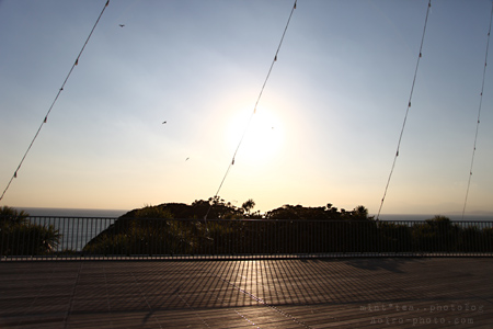 in江の島 eno_y02.jpg