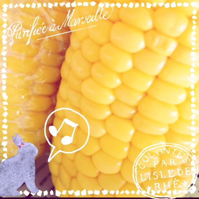 ぷりぷり IMG_1583.JPG
