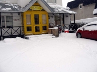 一夜明けて雪です・・・