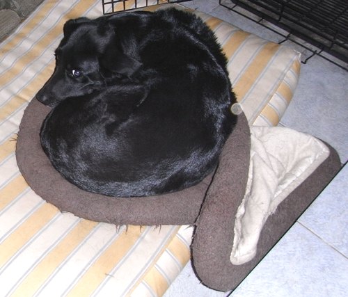 120406RIMG0006.jpg