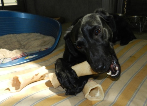 120421DSCN2498.jpg