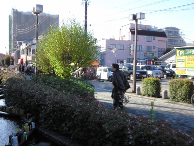 201011231423000.jpg